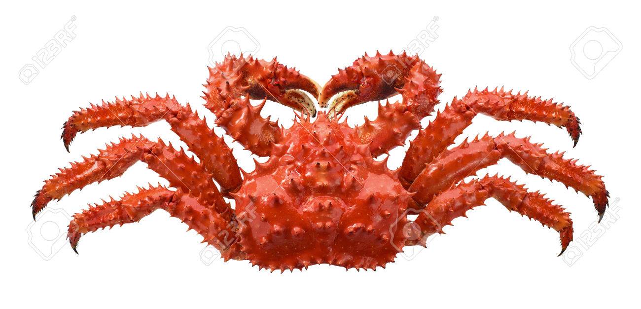 crabe royal rouge